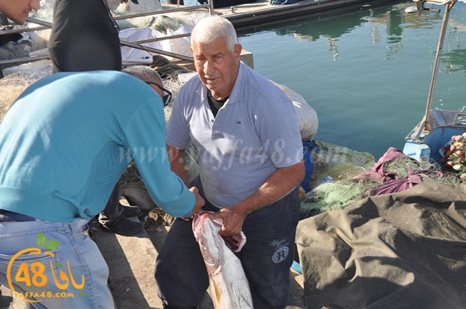 samak antayasa (10).JPG